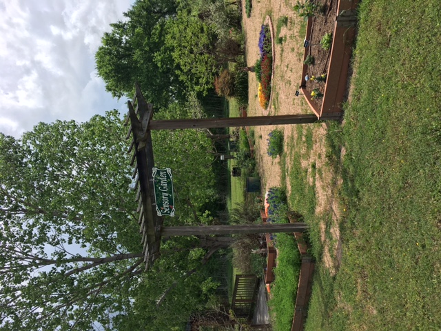 Sensory Garden Entrance